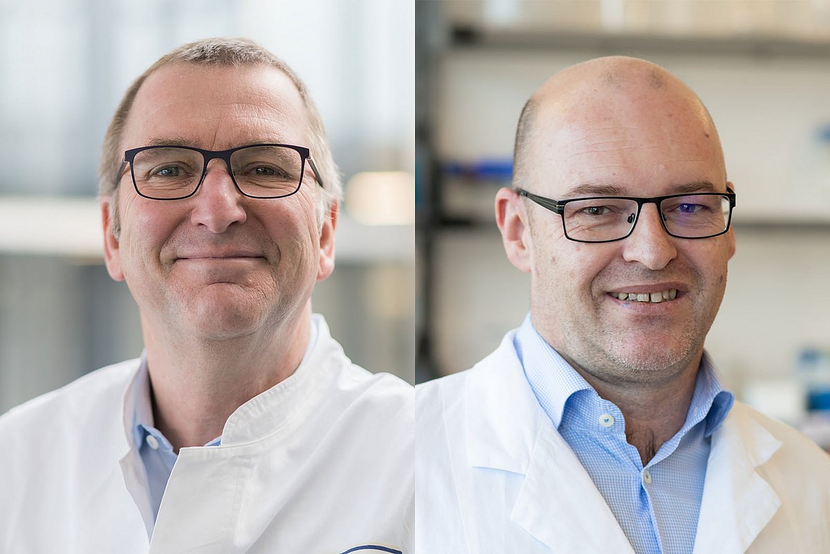Revolutionäre Zelltherapie Neustart des Immunsystems stellt Autoimmunerkrankungen ab Medizin